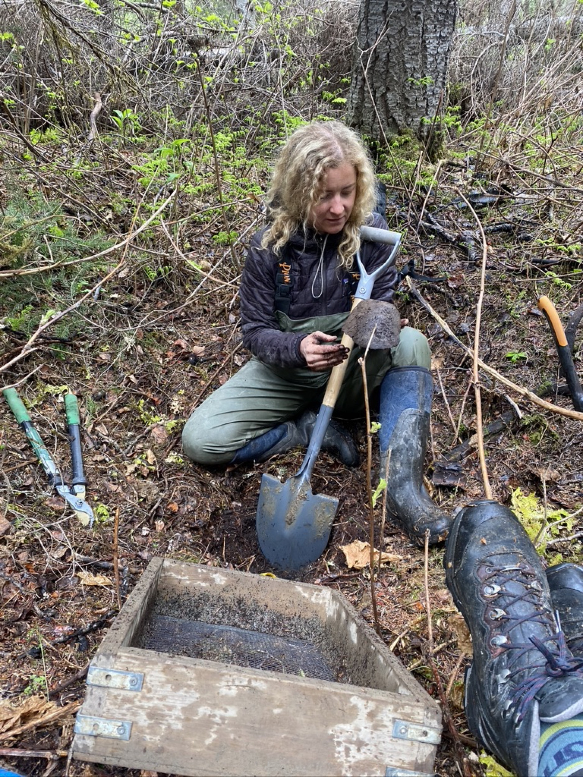 Media Release: Research Unveils Ancient Indigenous Cultivation of Hazelnut in British Columbia