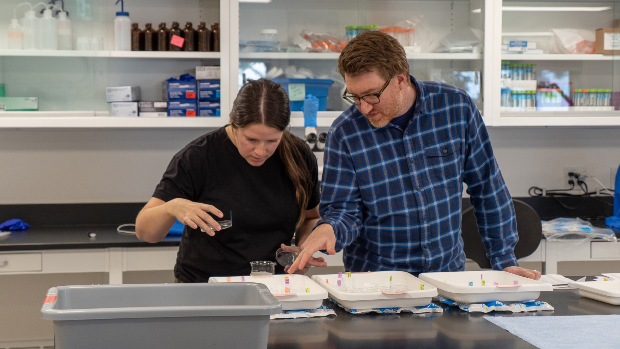 Boosting the Barcode