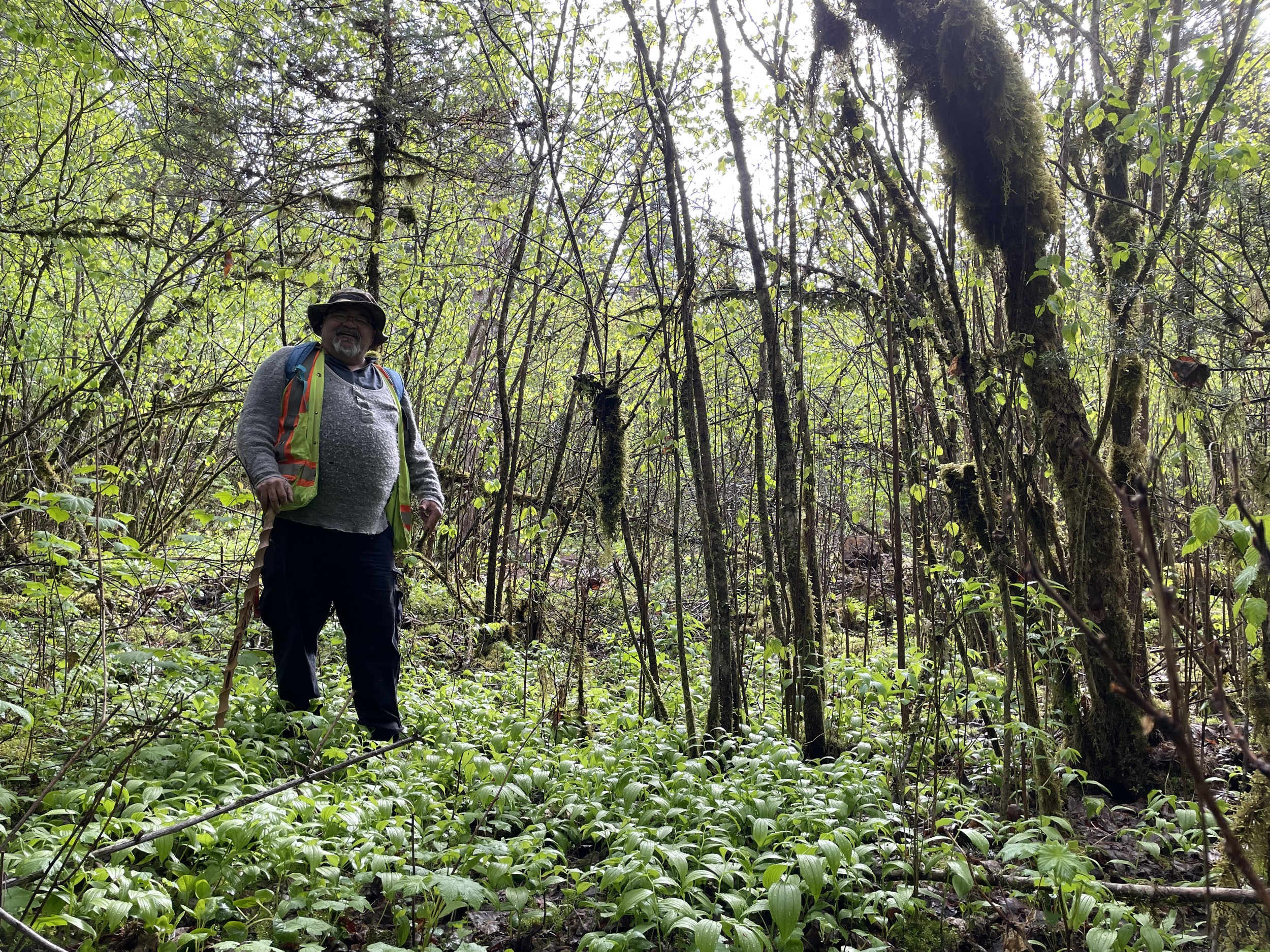 Media Release: Research Unveils Ancient Indigenous Cultivation of Hazelnut in British Columbia