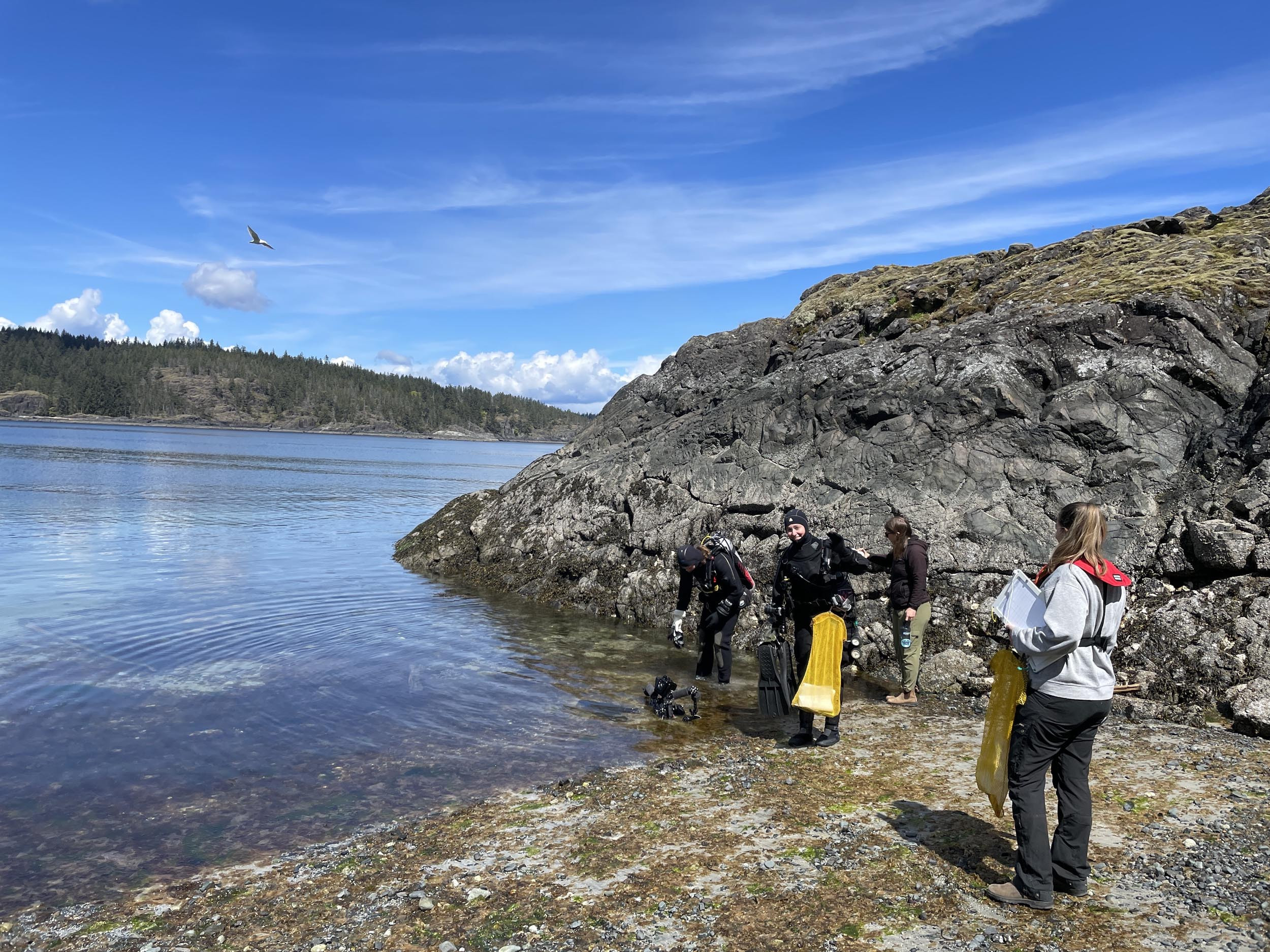 Polychaetes, Polypores, and Pooters