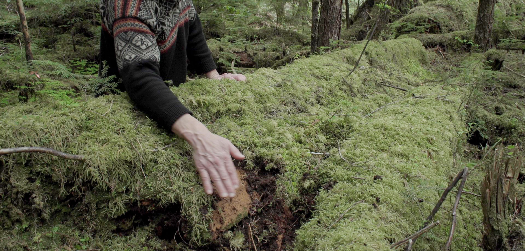 Hakai Magazine Highlights