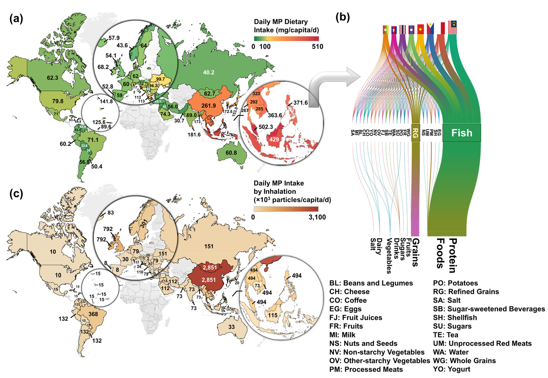 Mouthfuls of Microplastics