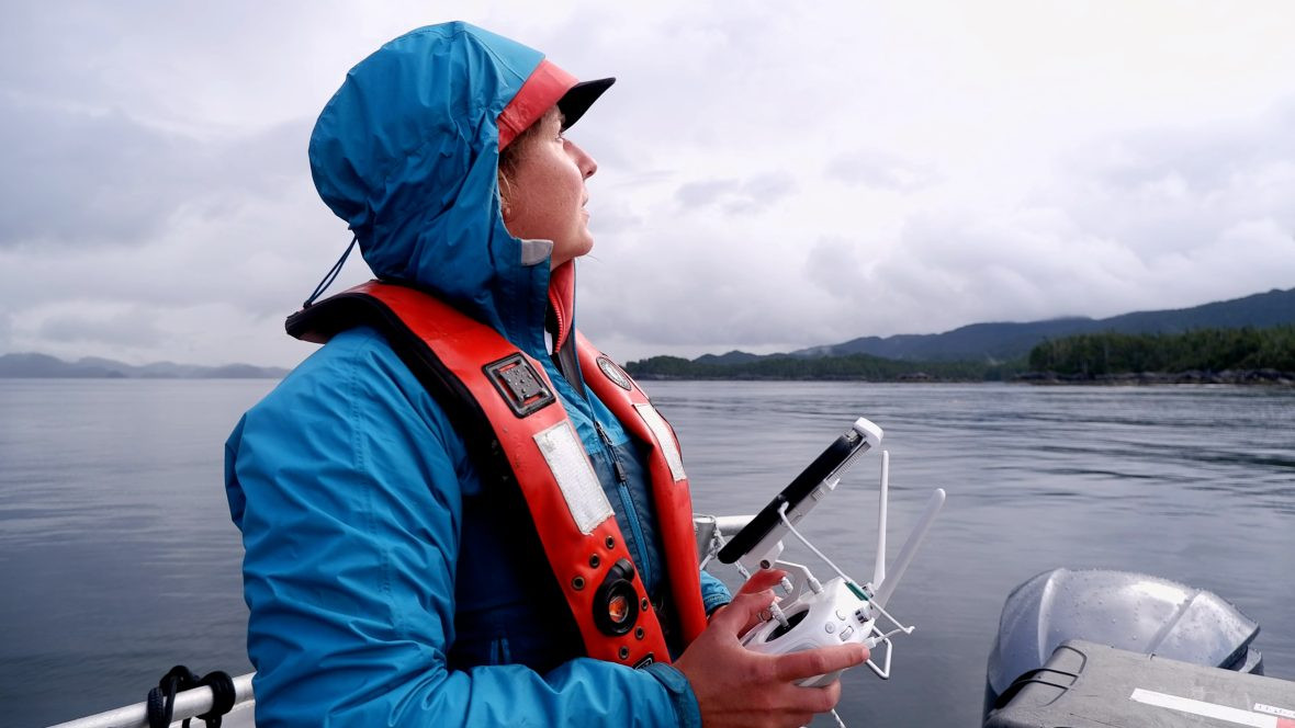 Drones, Planes, and Satellites: A Guide to Mapping Kelp from Sky and Space