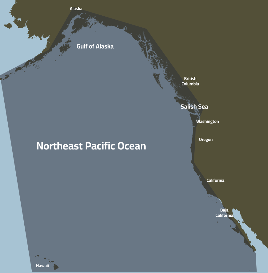 Map of the Ocean Decade Collaborative Center for the Northeast Pacific's region.